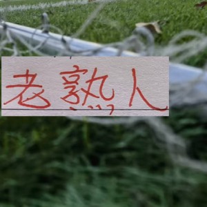 星空官网-六月赛程！三大豪门再见老相识 申花遇马莱莱